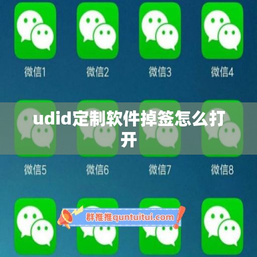 udid定制软件掉签怎么打开