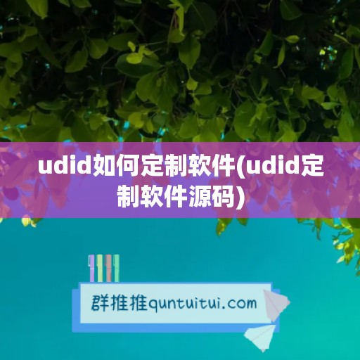 udid如何定制软件(udid定制软件源码)