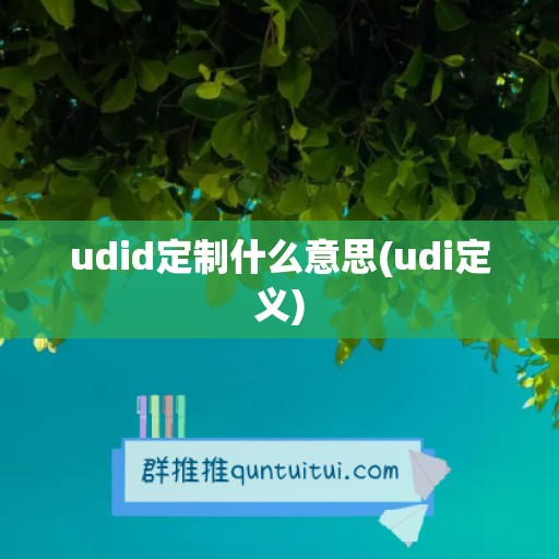 udid定制什么意思(udi定义)