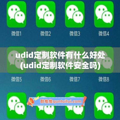 udid定制软件有什么好处(udid定制软件安全吗)