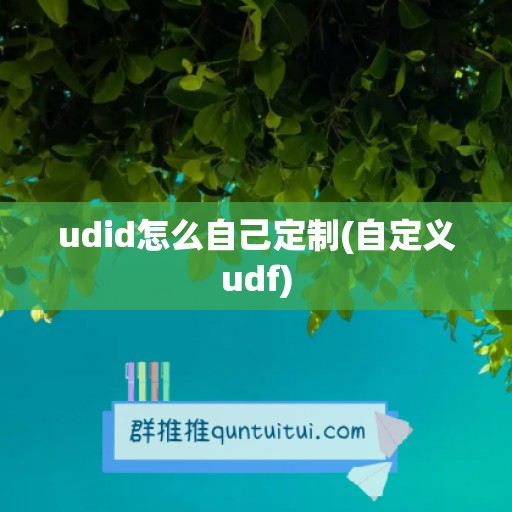 udid怎么自己定制(自定义udf)