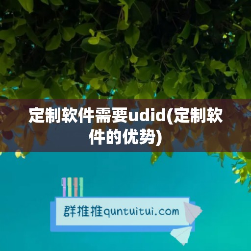 定制软件需要udid(定制软件的优势)