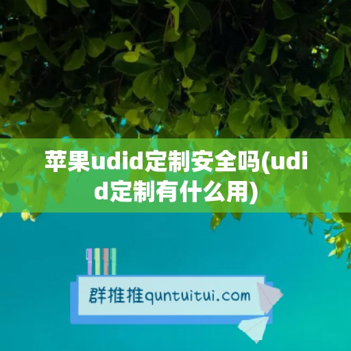 苹果udid定制安全吗(udid定制有什么用)