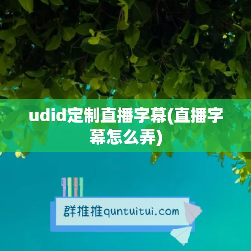 udid定制直播字幕(直播字幕怎么弄)