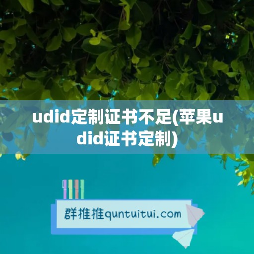 udid定制证书不足(苹果udid证书定制)