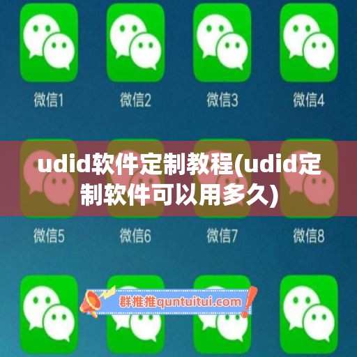 udid软件定制教程(udid定制软件可以用多久)