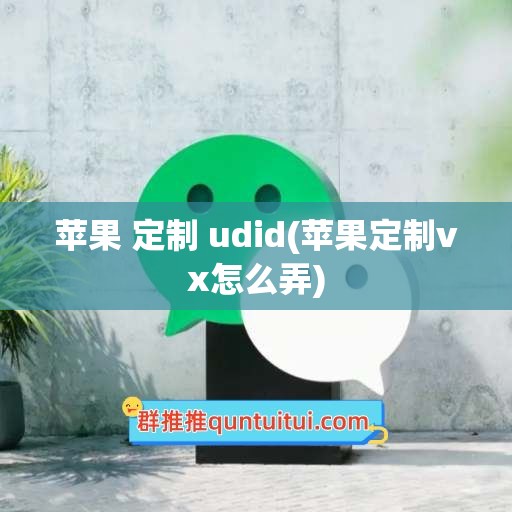 苹果 定制 udid(苹果定制vx怎么弄)