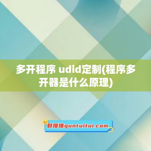 多开程序 udid定制(程序多开器是什么原理)