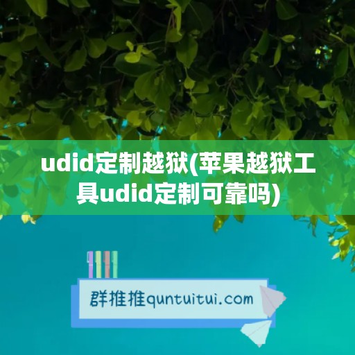 udid定制越狱(苹果越狱工具udid定制可靠吗)