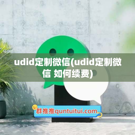 udid定制微信(udid定制微信 如何续费)