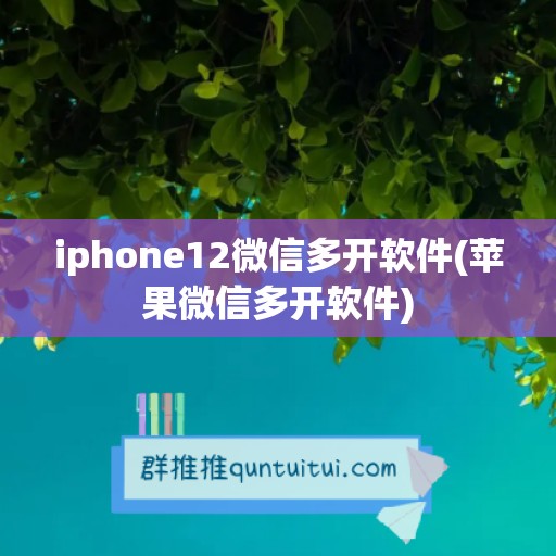 iphone12微信多开软件(苹果微信多开软件)