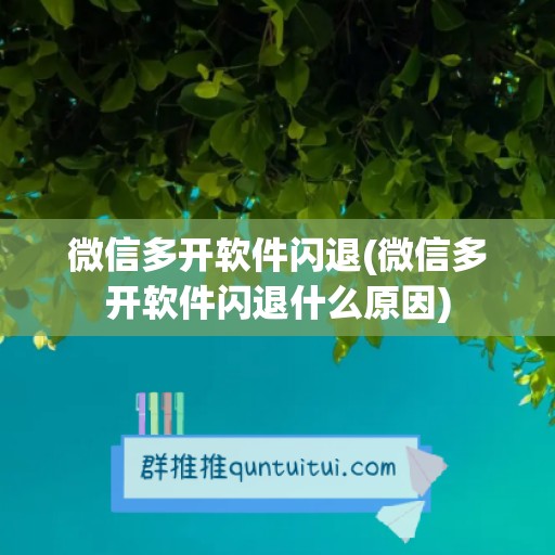 微信多开软件闪退(微信多开软件闪退什么原因)