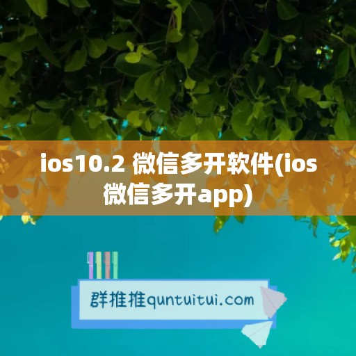 ios10.2 微信多开软件(ios微信多开app)