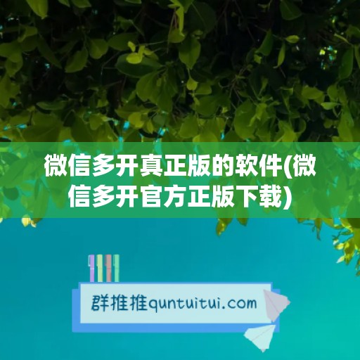 微信多开真正版的软件(微信多开官方正版下载)