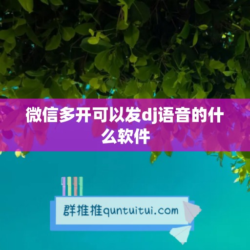 微信多开可以发dj语音的什么软件