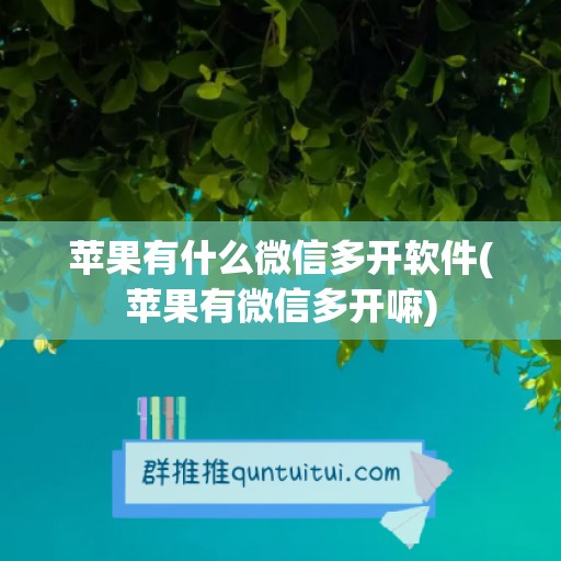 苹果有什么微信多开软件(苹果有微信多开嘛)