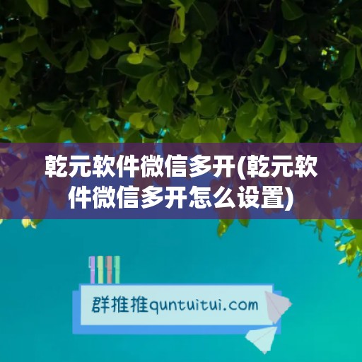 乾元软件微信多开(乾元软件微信多开怎么设置)