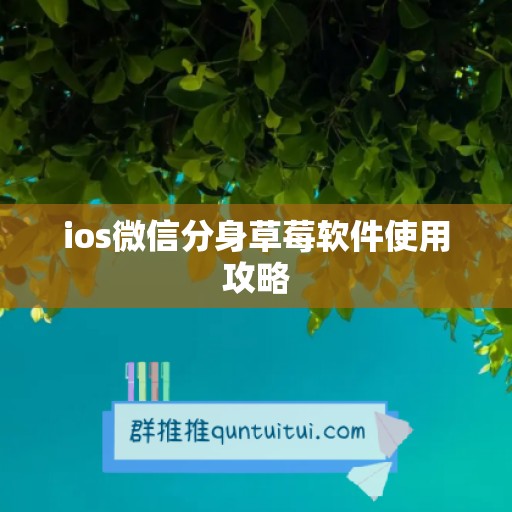 ios微信分身草莓软件使用攻略