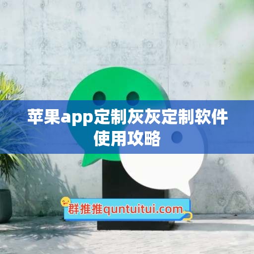 苹果app定制灰灰定制软件使用攻略