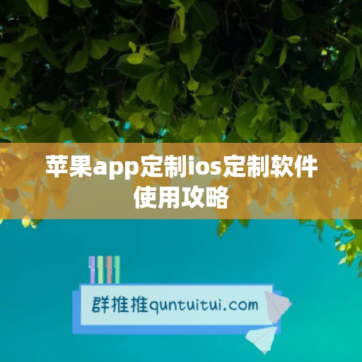 苹果app定制ios定制软件使用攻略