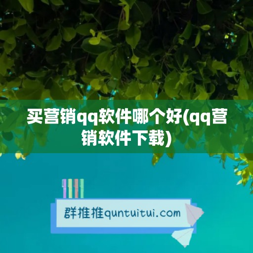 买营销qq软件哪个好(qq营销软件下载)