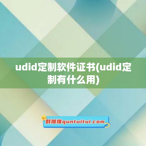 udid定制软件证书(udid定制有什么用)