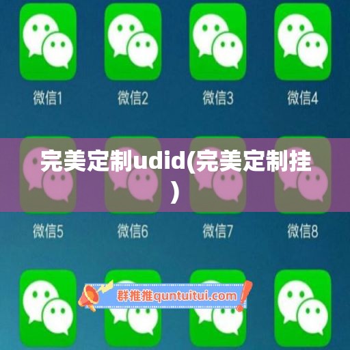 完美定制udid(完美定制挂)