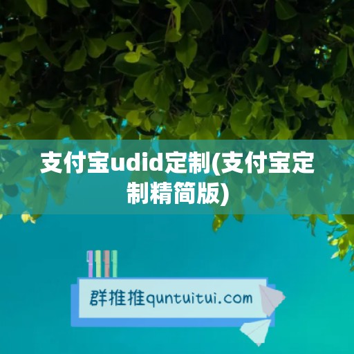 支付宝udid定制(支付宝定制精简版)