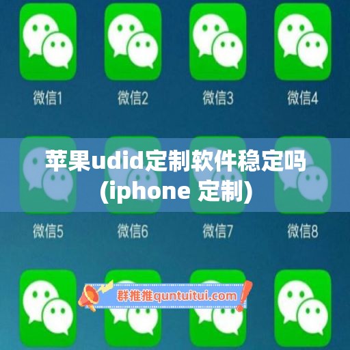 苹果udid定制软件稳定吗(iphone 定制)