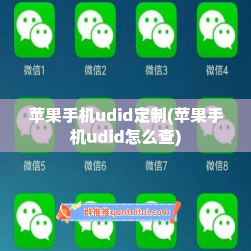 苹果手机udid定制(苹果手机udid怎么查)