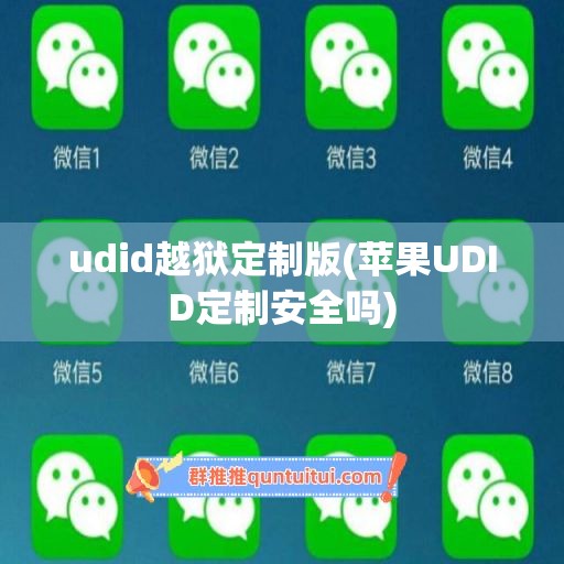 udid越狱定制版(苹果UDID定制安全吗)