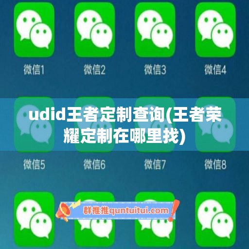 udid王者定制查询(王者荣耀定制在哪里找)