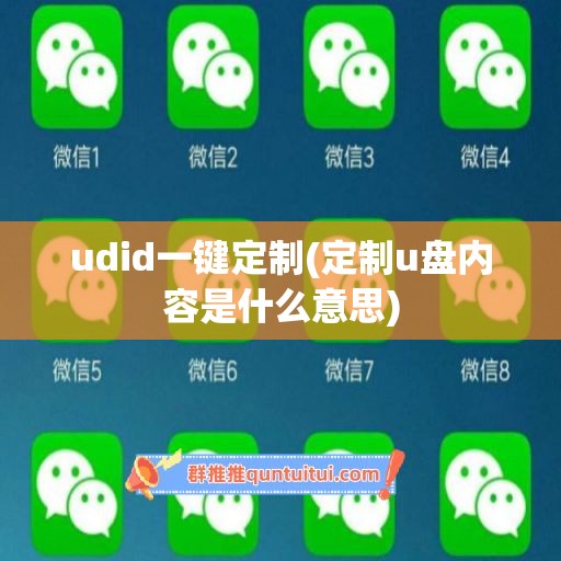 udid一键定制(定制u盘内容是什么意思)