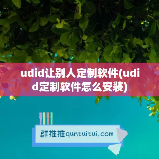 udid让别人定制软件(udid定制软件怎么安装)