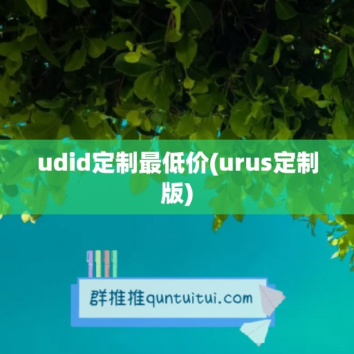 udid定制最低价(urus定制版)