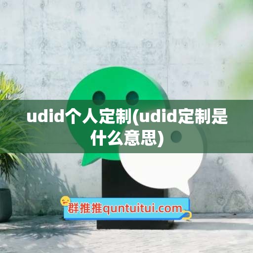 udid个人定制(udid定制是什么意思)