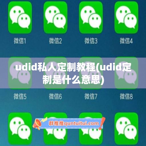 udid私人定制教程(udid定制是什么意思)