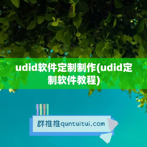 udid软件定制制作(udid定制软件教程)