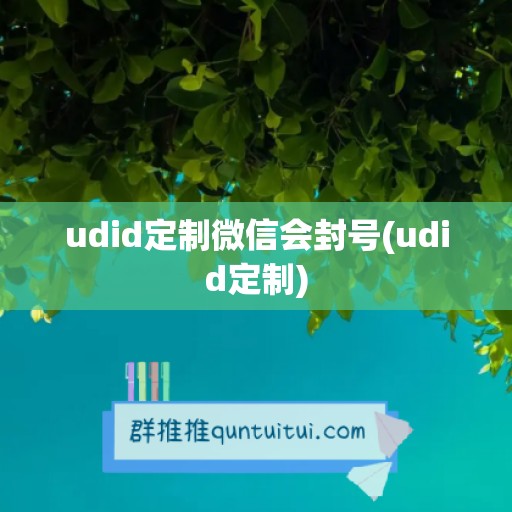 udid定制微信会封号(udid定制)