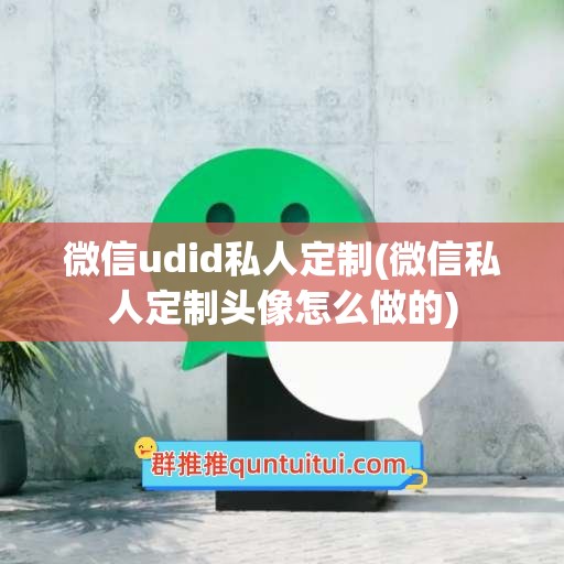 微信udid私人定制(微信私人定制头像怎么做的)