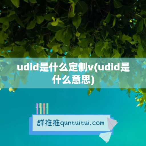 udid是什么定制v(udid是什么意思)