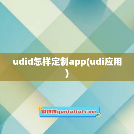 udid怎样定制app(udi应用)