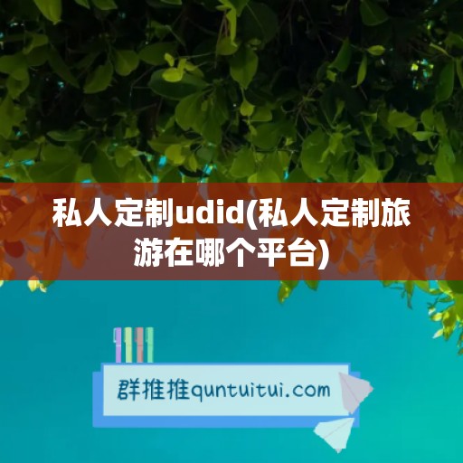 私人定制udid(私人定制旅游在哪个平台)