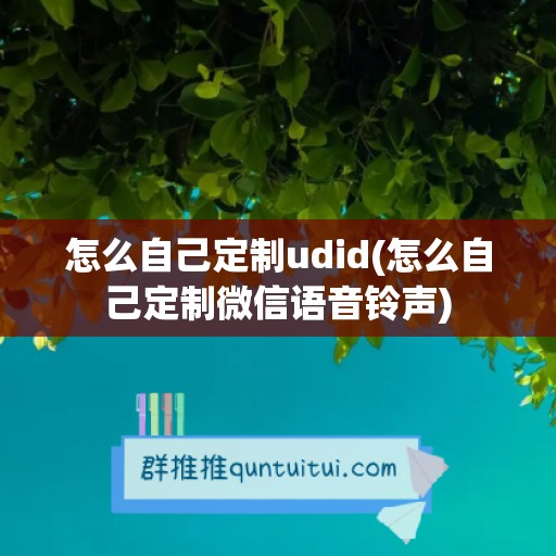 怎么自己定制udid(怎么自己定制微信语音铃声)