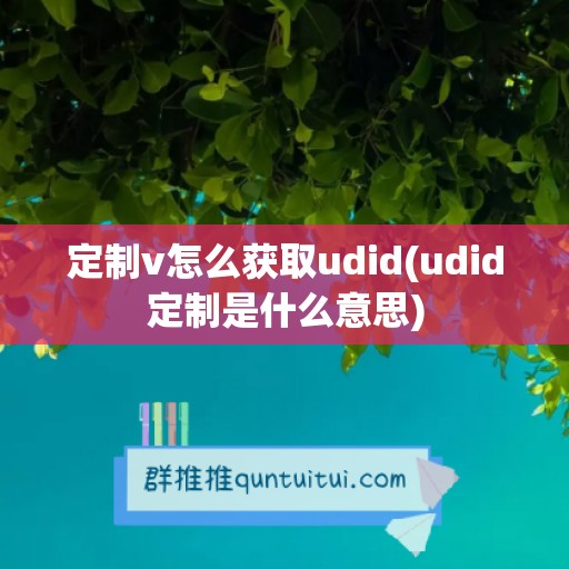 定制v怎么获取udid(udid定制是什么意思)