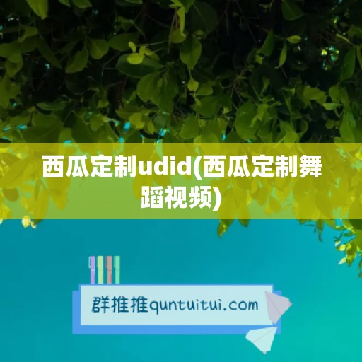 西瓜定制udid(西瓜定制舞蹈视频)