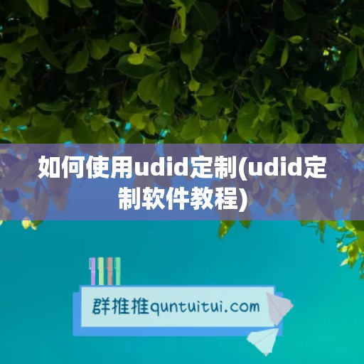 如何使用udid定制(udid定制软件教程)