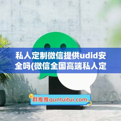 私人定制微信提供udid安全吗(微信全国高端私人定制)