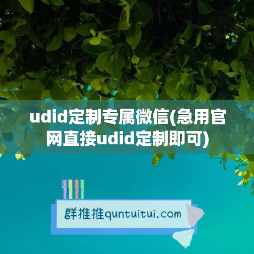 udid定制专属微信(急用官网直接udid定制即可)