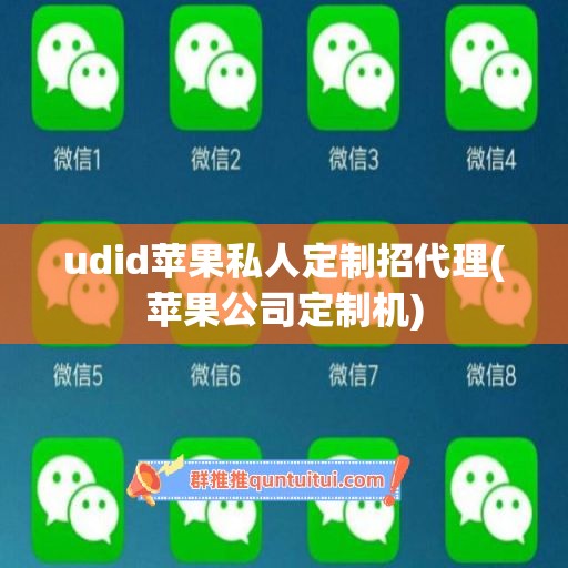 udid苹果私人定制招代理(苹果公司定制机)